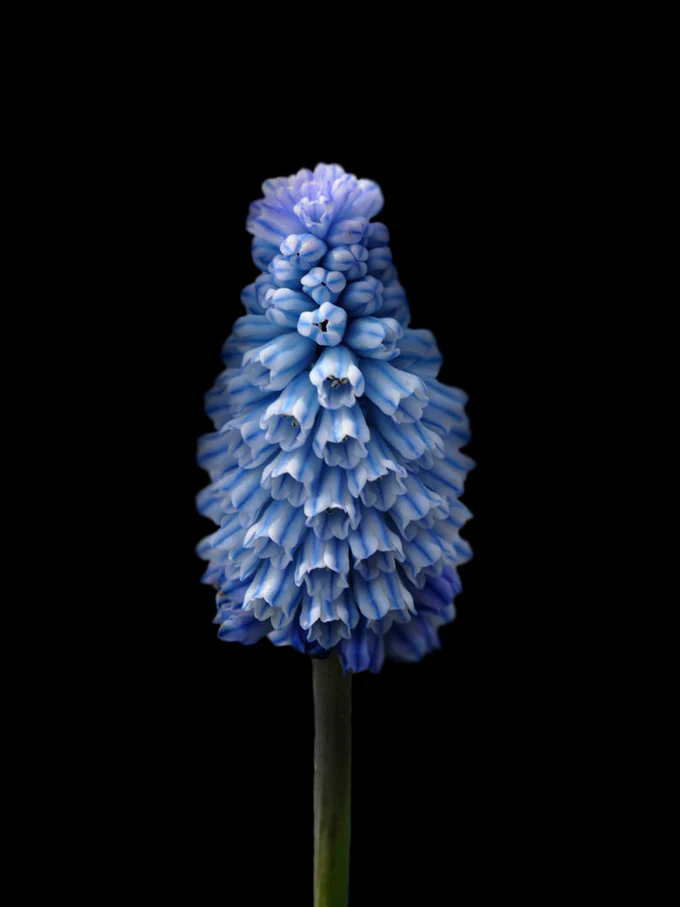 Miniatyrbild 1