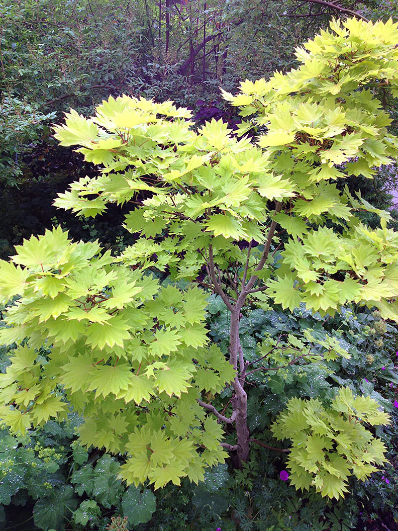 Produktbild 3