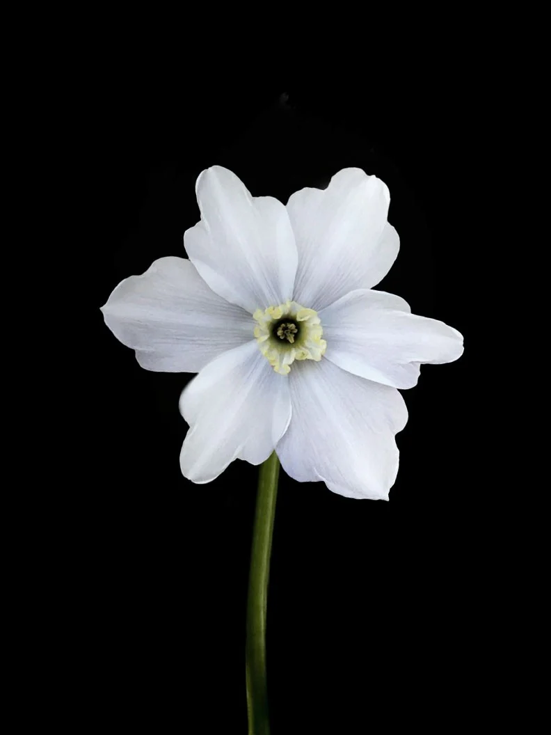 Miniatyrbild 2