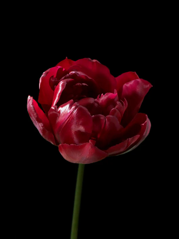 Miniatyrbild 1