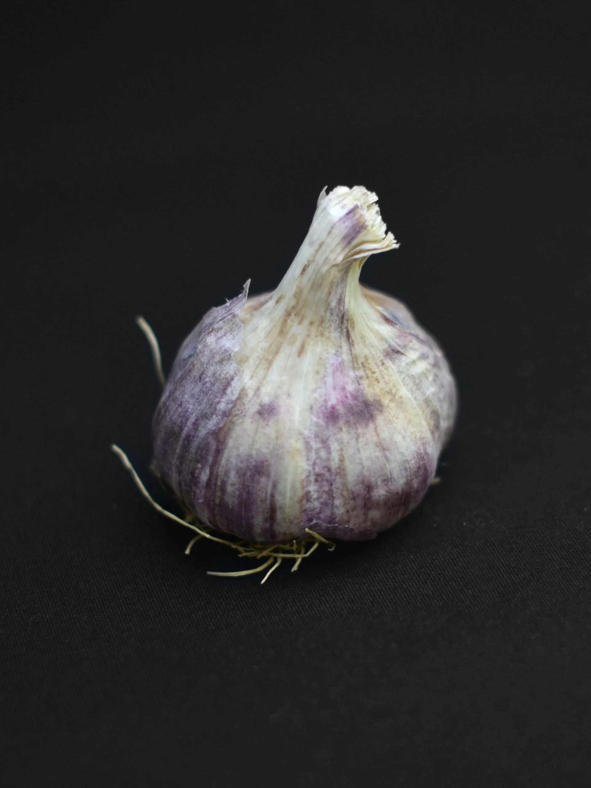 Miniatyrbild 1